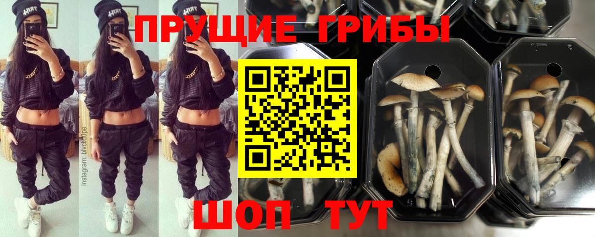 Галлюциногенные грибы ЛСД  Вход с VPN  Псилоцибиновые грибы Magic Shrooms  Анапа 